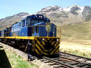 [train[1].jpg]